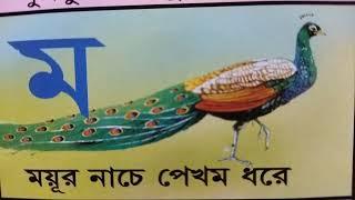 বাংলা ব্যাঞ্জনবর্ণ ক খ গ ঘ ঙ চ ছ জ ঝ ঞ ট ঠ ড ঢ ণ ত থ দ ধ ন প ফ ব ভ ম য র ল ব শ ষ স হ  KIDS EDUCATION