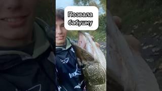 ПОЙМАЛ КРОКОДИЛА  #рыбалка #fishing #щука #рекомендации #music