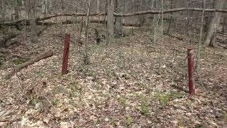 Abandoned Slave Cemetery ~ PA State Game Lands 52