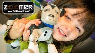 Zoomer Interactive Puppy Shadow Robot Toy Dog Toys