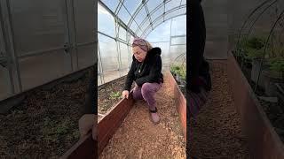 Грядки в теплицу в цвете "дуб антик" #дачасадогород #грядки #грядка