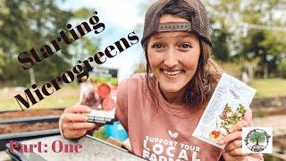 Starting Microgreens Part:One |VLOG| Whispering Willow Farm