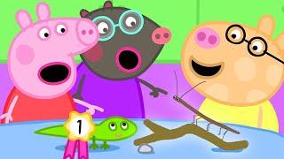 Der Haustierwettbewerb  Ganze Episode | Cartoons für Kinder | Peppa Wutz Neue Folgen