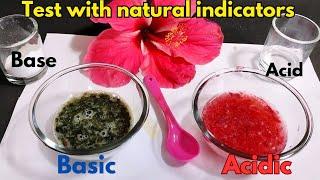 Acid-base test with natural indicators | litmus test | chemistry 