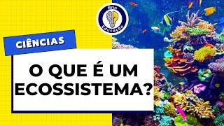 Ciências: O que é um ECOSSISTEMA? | Brio Educação