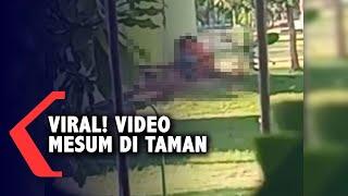Viral! Video Mesum di Taman Maramis Kota Probolinggo
