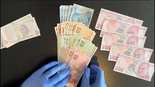 TURKISH LIRA CASH COUNT | 5,10,20,50,100,200 | ASMR | SAVINGS CHALLENGE | MONEY VISUALISATION.