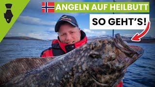 Angeln auf HEILBUTT | So fangt ihr mit Köderfisch | Angeln in NORWEGEN Saltstraumen - TIPPS