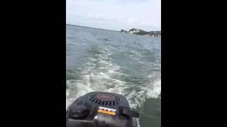 Navegando com motor kawasima 6hp ilha da madeira