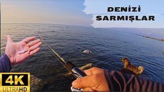 Fishing from the shore in Turkey / cute guest