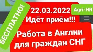 Agri-HR возобновил(22.03.2022) приём!! Работа в Англии для граждан СНГ! Заполнении анкеты на Agri-HR