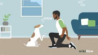 How to Teach Your Dog to Speak