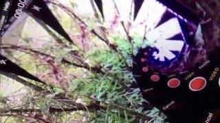 Videoplex Reverbatron #1