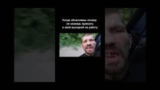 #юмор #работа