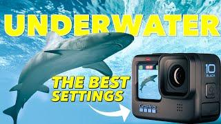 The BEST GoPro Underwater Settings! Hero 10 & Hero 11, Hero 12