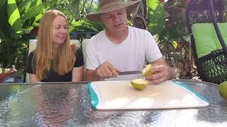 Seedling White Sapote - oops, not Smathers