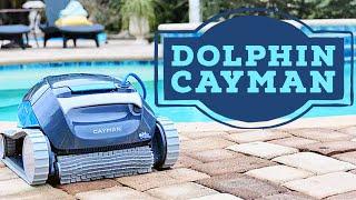  Dolphin Cayman Poolroboter (2024)