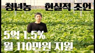 5억! 월 110만원 지원?!  이런 생각으로  청년후계농 지원하면 망합니다!