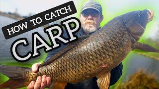 How to Catch Carp | Pacific Northwest Carp Fishing | Golden Garden Ponds Eugene Oregon