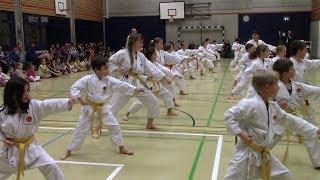 Karate Demonstration Kampfsportschule Aarau