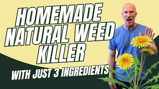 Homemade Natural WEED KILLER with Just 3 Ingredients