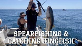 Spearfishing and Catching a Kingfish in Northland New Zealand (4K)