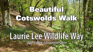 Laurie Lee Wildlife Walk - Beautiful Cotswold Countryside