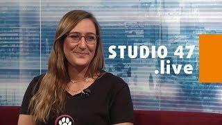 STUDIO 47 .live | SVENJA GRUSZECZKA ÜBER DAS SOMMERFEST IHRES VEREINS „HUNDERETTUNG EUROPA“