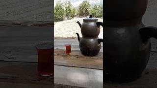 #köydehayat #köy #garden #food #yemektarifleri #doğa #koyvlog #dogal #hayatinaynasi #temizlik #bahçe