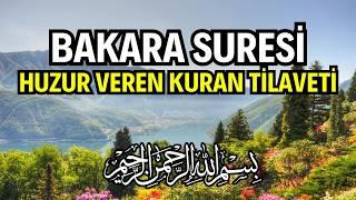 Bakara Suresi Dinle - İman ve Bilgelik Dolu Kuran Tilaveti | Kuran Dinle