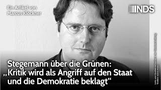 Stegemann über die Grünen: „Kritik wird als Angriff auf den Staat und die Demokratie beklagt“ | NDS