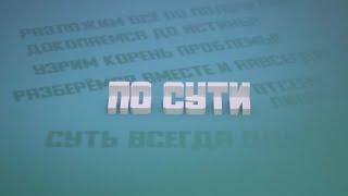 Программа «По сути». Учат не только в школе