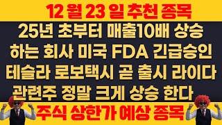 12월23일 월요일 추천종목 - 25년 초 부터 매출 10배 상승하는 회사 , 미국 FDA  통과되었다 , 테슬라 로보택시 곧 출시 , 라이다 관련주 급등한다 !!!