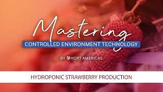 Mastering Hydroponic Strawberries Farming | Modern Agriculture & Growing Strawberries Hydroponically