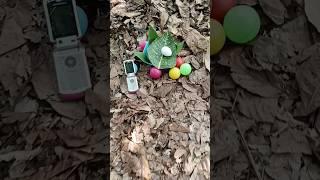 Finding snails and egg and cell phone #snail #egg #snails