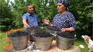 Harvesting Black Mulberries and Preserve for Winter