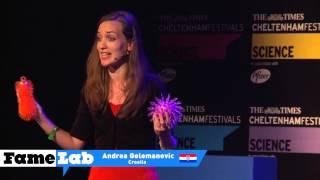 Microbial cells in the human body - Andrea Gelemanovic (Croatia - FameLab 2013 Intl Final)