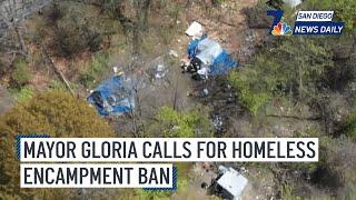 Mayor Gloria Calls for Homeless Encampment Ban | NBC 7 San Diego