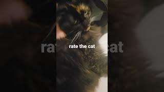 rate the cat