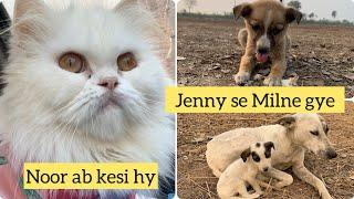 Noor ab kesi hy || Jenny se Milne gye