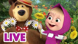  LIVE! Maşa İle Koca Ayı  Bitkiler ve çiçekler hakkında her şeyi öğrenin!  Masha and the Bear