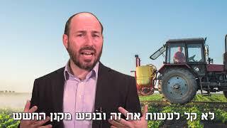 לדעת להרפות - הארה לפרשת השבוע בהר / הרב יוני לביא