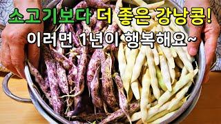 강낭콩 보이는 족족 이렇게 해보세요! 1년 내내 찾아먹을 정도로 진짜 맛있어요.