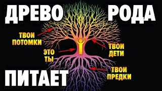 Как на нашу жизнь влияют Предки? 9 принципов Силы Рода