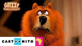 Protect the Spider | Grizzy & The Lemmings | Cartoonito Africa