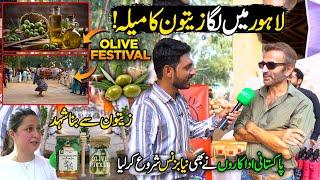 National Olive Festival 2024 At Lahore Organic Village | Chak De Phatay | Discover Pakistan