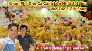 Discover the Largest Aquarium Market in Saigon at 3 AM - Cheap Aquarium - Luu Xuan Tin Fish Market