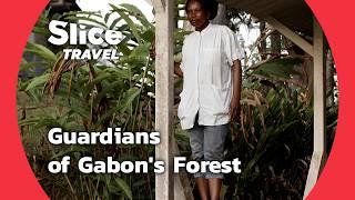 Gabon’s Hidden Forest Guardians | SLICE TRAVEL