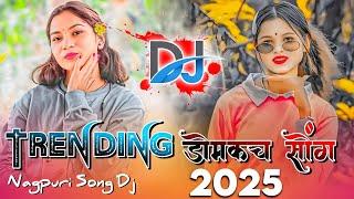 Theth Nagpuri Dj Song 2025 !! New Nagpuri Dj Remix Song !! Nagpuri Video Song ! Nagpur Dj Domkach