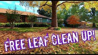 Start to Finish Leaf Clean up - beautiful leaf clean up - how to get leaf jobs - leaf removal setup